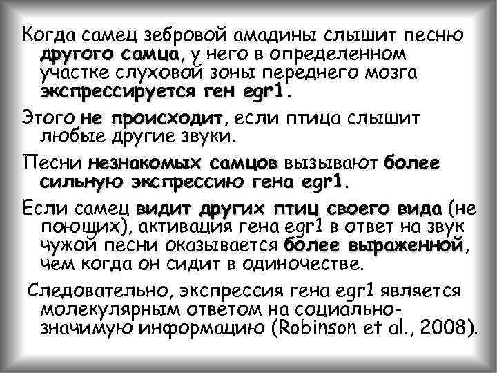 Когда самец зебровой амадины слышит песню другого самца, у него в определенном самца участке