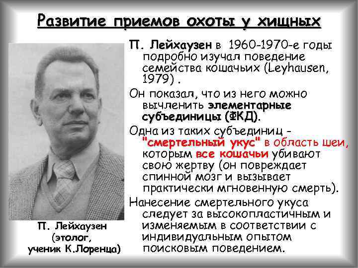 Развитие приемов охоты у хищных П. Лейхаузен в 1960 -1970 -е годы подробно изучал