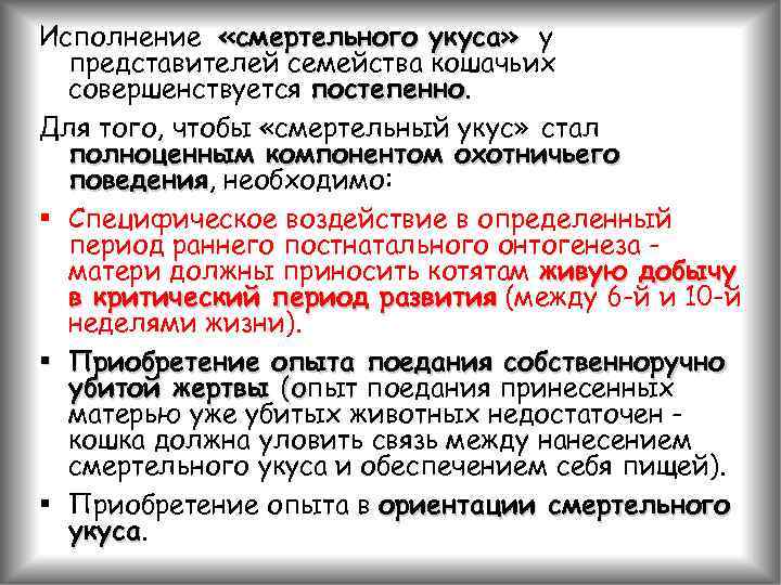 Исполнение «смертельного укуса» у представителей семейства кошачьих совершенствуется постепенно Для того, чтобы «смертельный укус»