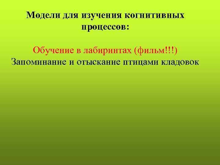 Индивидуальная 5. Индивидуально-приспособительной деятельности животных. Приспособительная деятельность. Приспособительная активность.. Когнитивные исследования птиц.