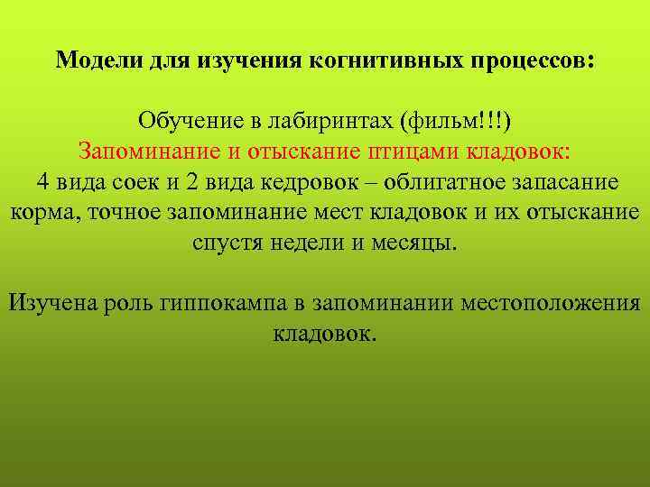 Модели для изучения когнитивных процессов: Обучение в лабиринтах (фильм!!!) Запоминание и отыскание птицами кладовок: