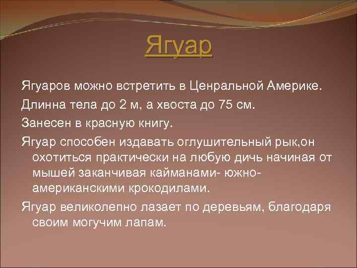 Ягуаров можно встретить в Ценральной Америке. Длинна тела до 2 м, а хвоста до