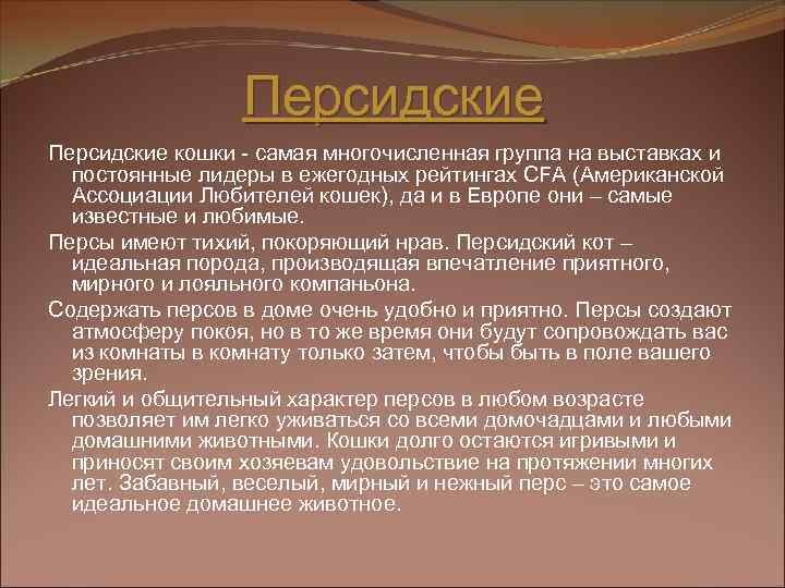 Персидские кошки - самая многочисленная группа на выставках и постоянные лидеры в ежегодных рейтингах