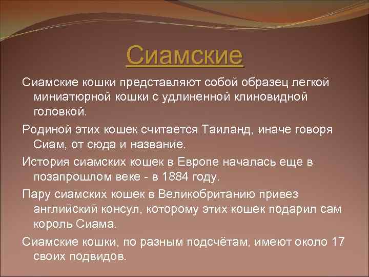 Сиамские кошки представляют собой образец легкой миниатюрной кошки с удлиненной клиновидной головкой. Родиной этих