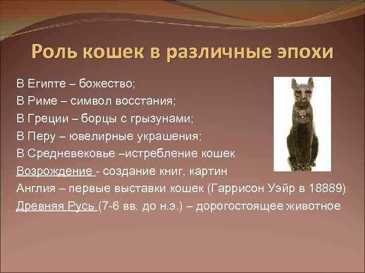 Роль кошек в различные эпохи В Египте – божество; В Риме – символ восстания;