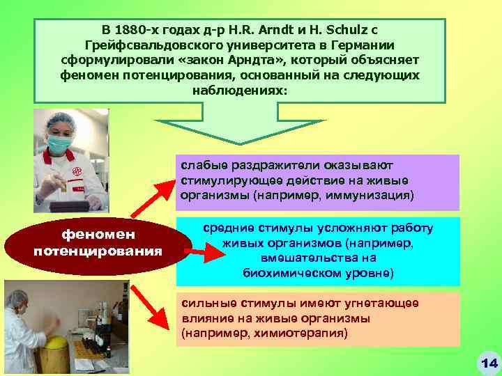 В 1880 -х годах д-р H. R. Arndt и H. Schulz с Грейфсвальдовского университета