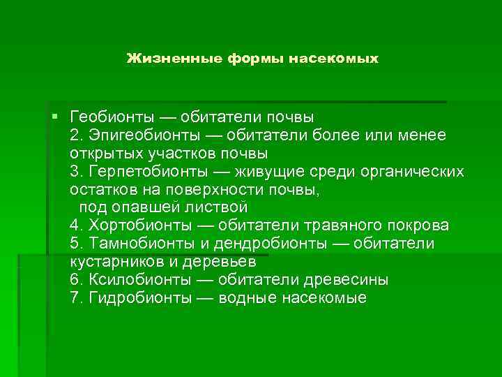   Жизненные формы насекомых § Геобионты — обитатели почвы  2. Эпигеобионты —