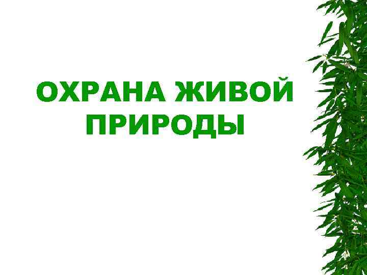 ОХРАНА ЖИВОЙ  ПРИРОДЫ 