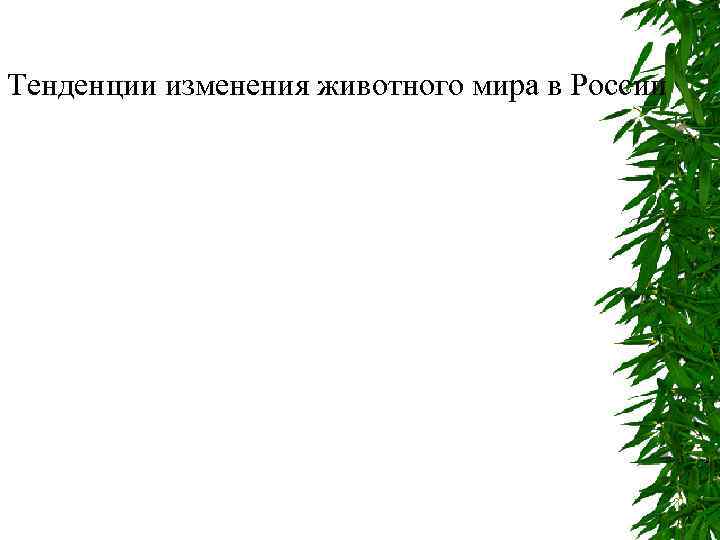Тенденции изменения животного мира в России 