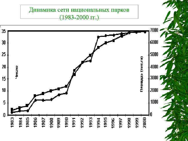 Динамика сети национальных парков  (1983 2000 гг. ) 