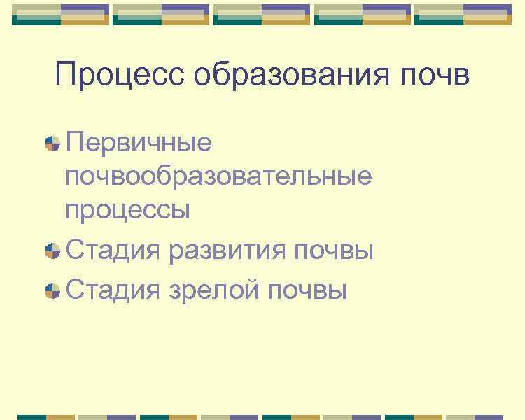 Процесс образования почв Первичные почвообразовательные процессы Стадия развития почвы Стадия зрелой почвы 