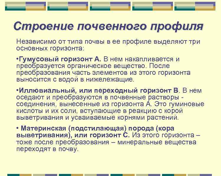 Строение почвенного профиля Независимо от типа почвы в ее профиле выделяют три основных горизонта: