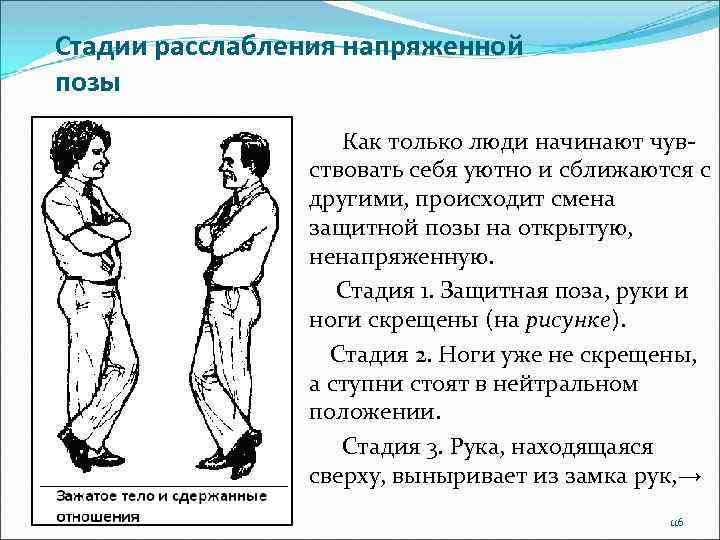 Стадии расслабления напряженной позы Как только люди начинают чувствовать себя уютно и сближаются с