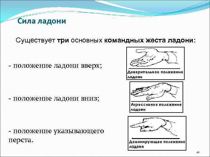 Сила ладони Существует три основных командных жеста ладони: - положение ладони вверх; - положение