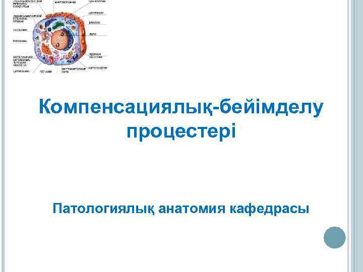 Компенсациялық-бейімделу процестері Патологиялық анатомия кафедрасы 