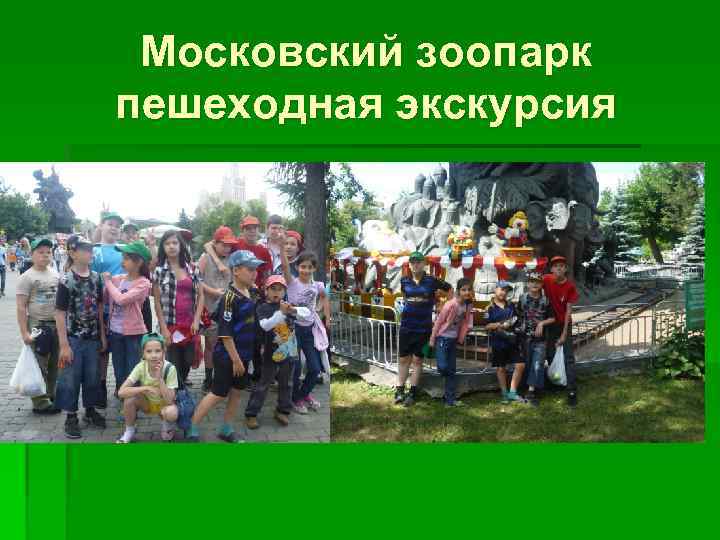 Московский зоопарк пешеходная экскурсия 