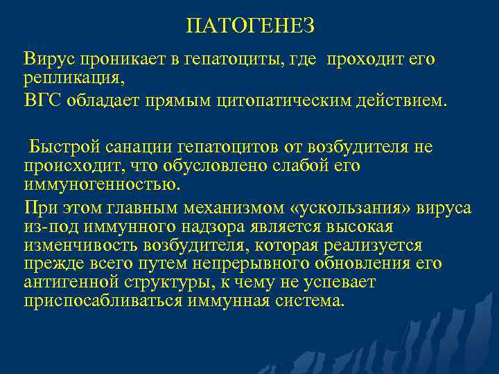 ПАТОГЕНЕЗ Вирус проникает в гепатоциты, где проходит его репликация, ВГС обладает прямым цитопатическим действием.