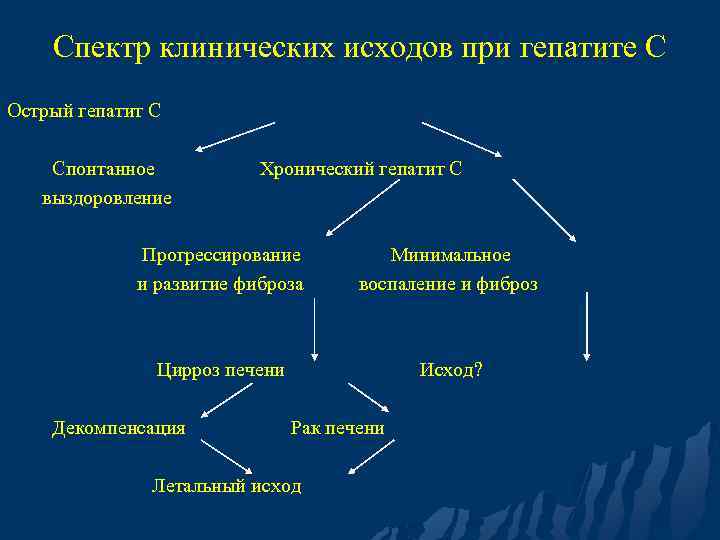 Спектр клинических исходов при гепатите С Острый гепатит С Спонтанное выздоровление Хронический гепатит С