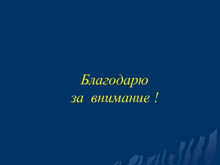 Благодарю за внимание ! 