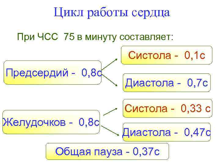 Цикл работы сердца При ЧСС 75 в минуту составляет: Систола - 0, 1 с