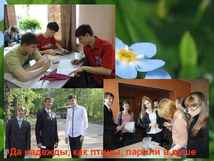 Да надежды, как птицы, парили в душе 