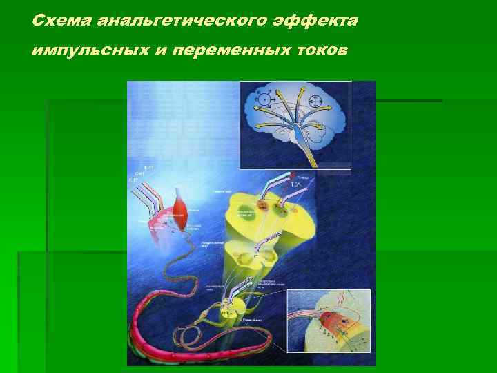 Схема анальгетического эффекта импульсных и переменных токов 