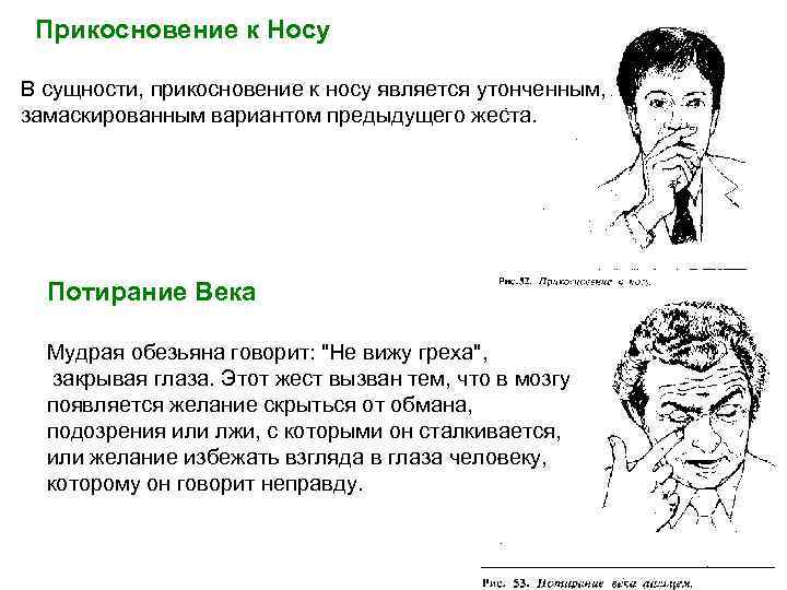 Прикосновение к Носу В сущности, прикосновение к носу является утонченным, замаскированным вариантом предыдущего жеста.