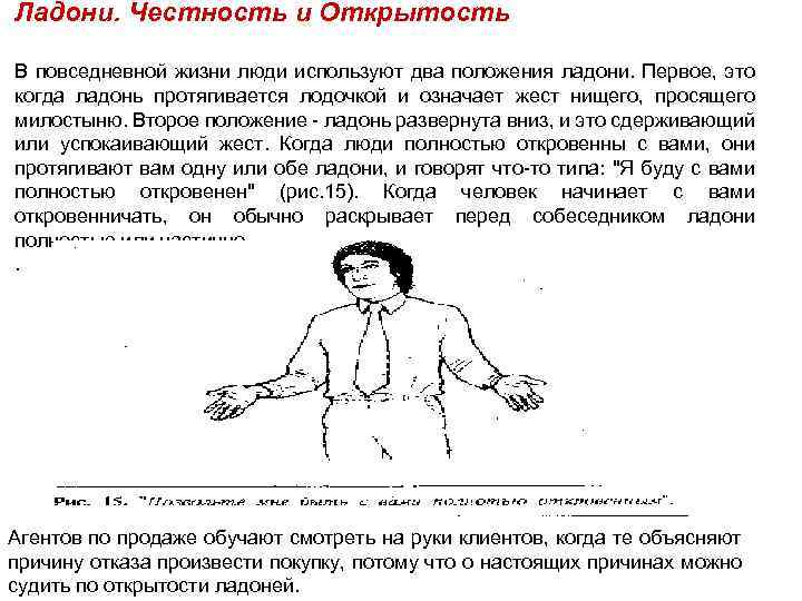 Ладони. Честность и Открытость В повседневной жизни люди используют два положения ладони. Первое, это