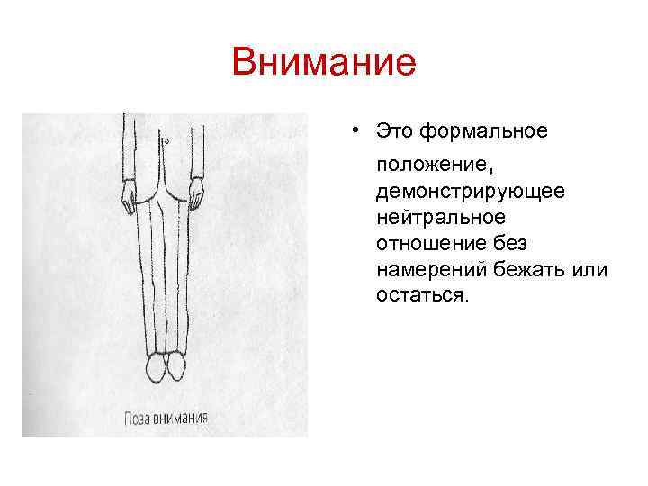 Внимание • Это формальное положение, демонстрирующее нейтральное отношение без намерений бежать или остаться. 