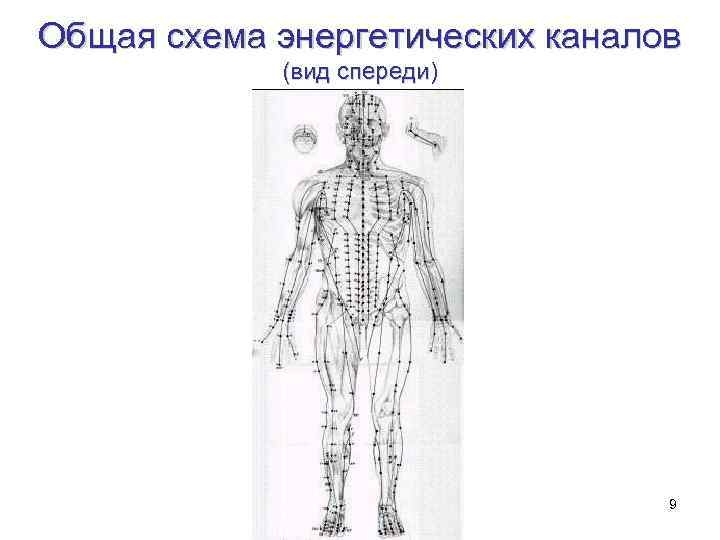 Общая схема энергетических каналов (вид спереди) 9 