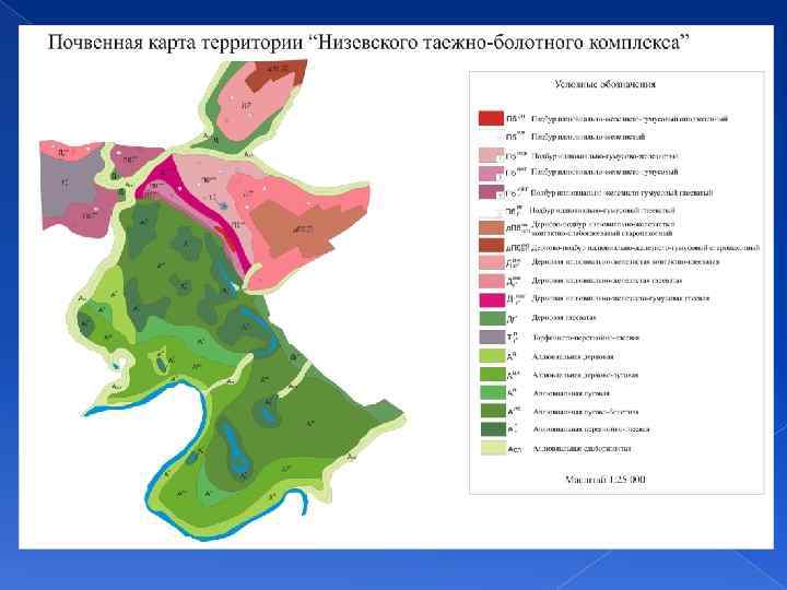 Почвенная карта ярославль