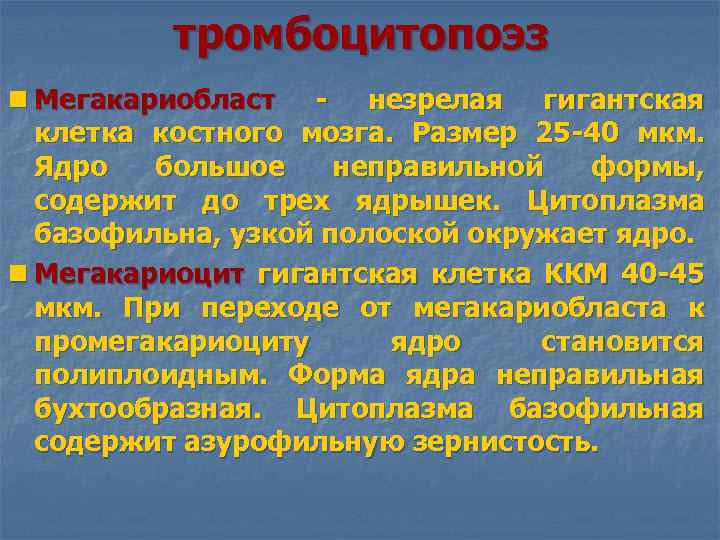 Тромбоцитопоэз происходит в красном мозге по схеме