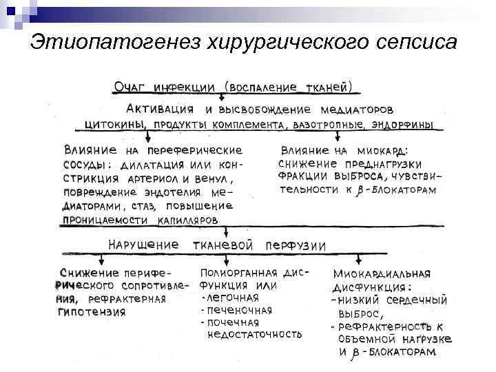 Этиопатогенез хирургического сепсиса 