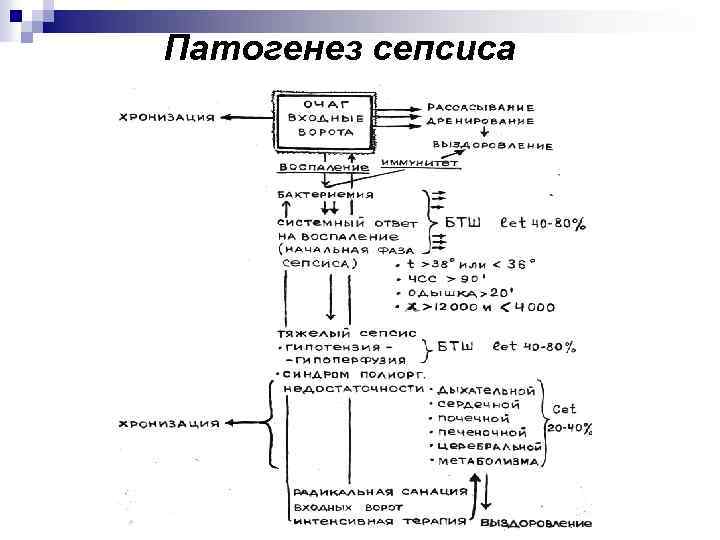 Патогенез сепсиса схема