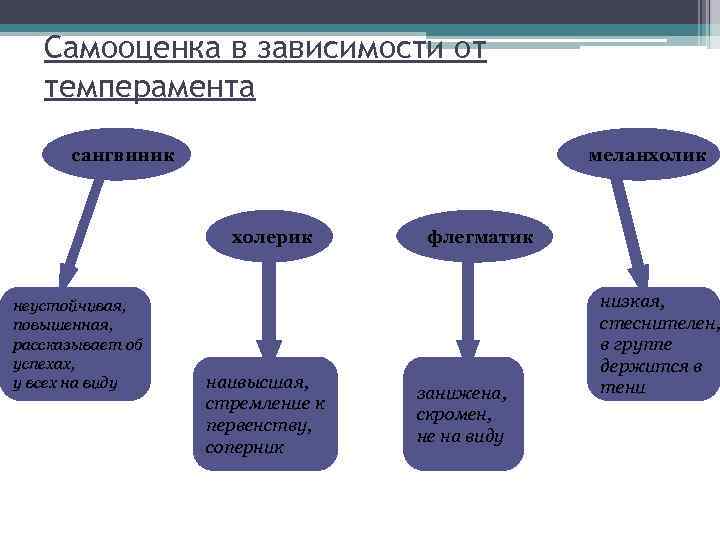 Самооценка в зависимости от темперамента сангвиник меланхолик холерик неустойчивая, повышенная, рассказывает об успехах, у