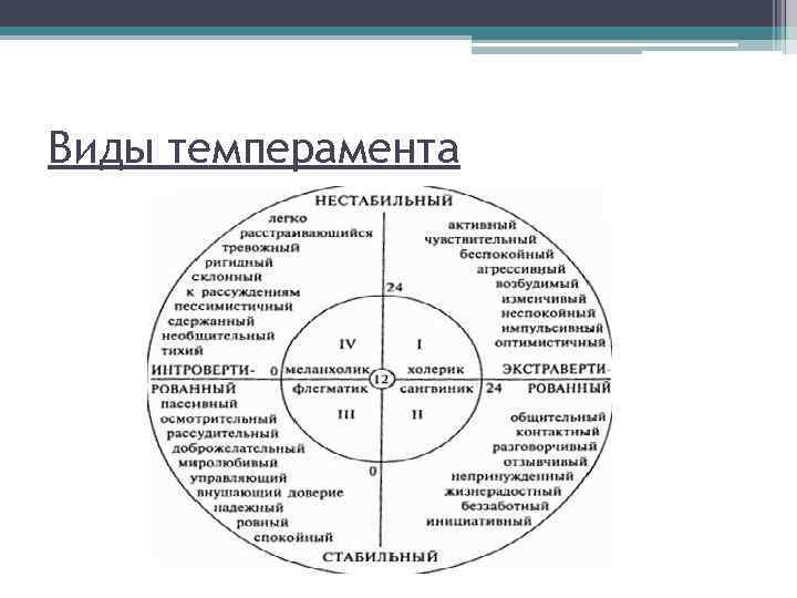 Виды темперамента 