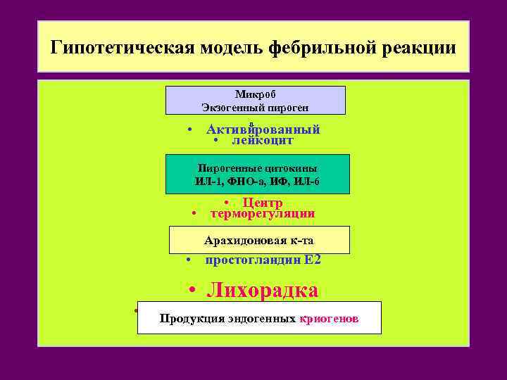 Гипотетическая модель фебрильной реакции • Микроб. Экзогенный пироген • экзогенный пироген • Активированный •