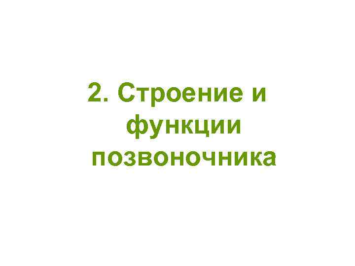 2. Строение и функции позвоночника 