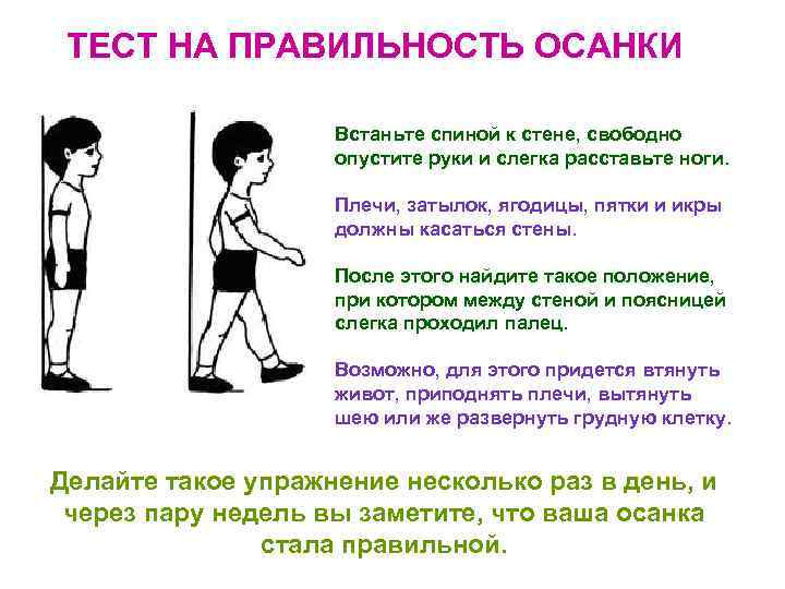 ТЕСТ НА ПРАВИЛЬНОСТЬ ОСАНКИ Встаньте спиной к стене, свободно опустите руки и слегка расставьте