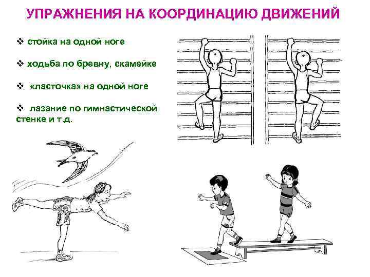 УПРАЖНЕНИЯ НА КООРДИНАЦИЮ ДВИЖЕНИЙ стойка на одной ноге ходьба по бревну, скамейке «ласточка» на