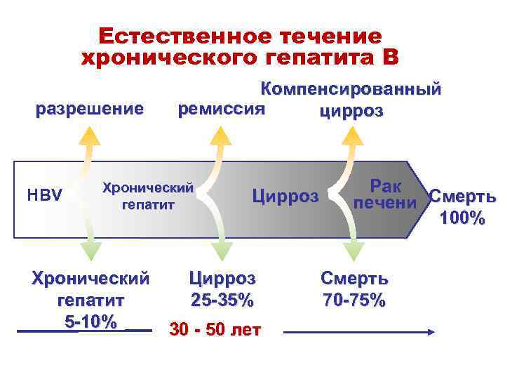 Естественное течение хронического гепатита В разрешение HBV Компенсированный ремиссия цирроз Хронический гепатит Цирроз Хронический