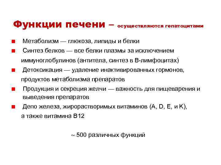 Функции печени – осуществляются гепатоцитами Метаболизм — глюкоза, липиды и белки Синтез белков —