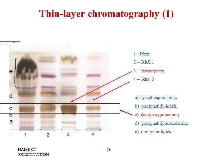 Thin-layer chromatography (1) 1 –Яйцо 2 – ЭФЛ 1 3 – Эссенциале 4 –