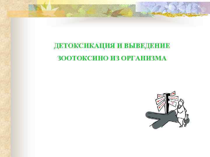 ДЕТОКСИКАЦИЯ И ВЫВЕДЕНИЕ ЗООТОКСИНО ИЗ ОРГАНИЗМА 