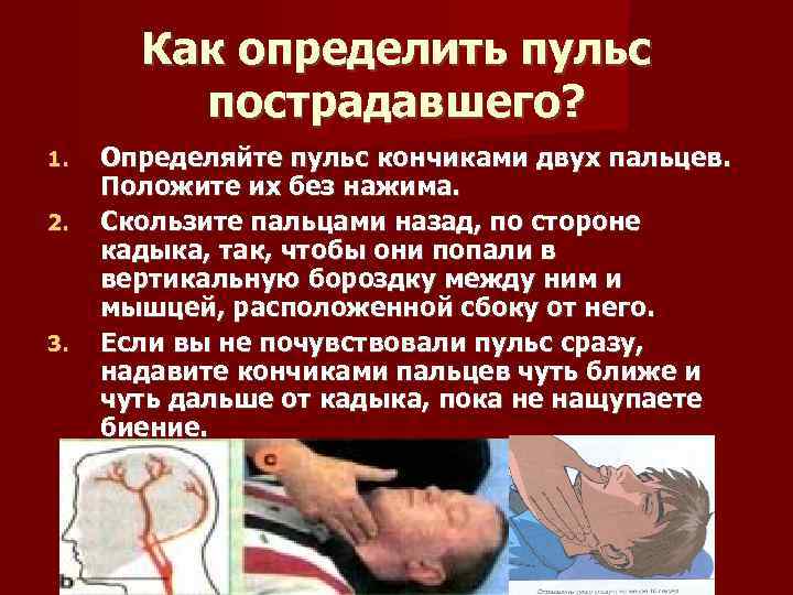 Как определить пульс пострадавшего? 1. 2. 3. Определяйте пульс кончиками двух пальцев. Положите их