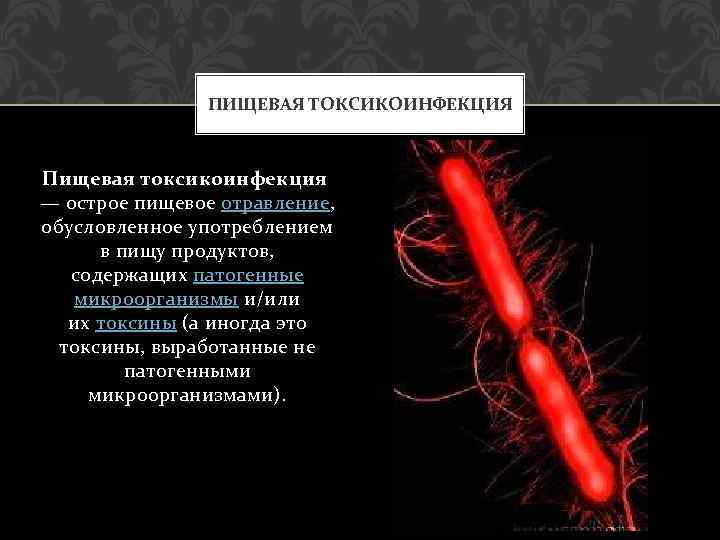 ПИЩЕВАЯ ТОКСИКОИНФЕКЦИЯ Пищевая токсикоинфекция — острое пищевое отравление, обусловленное употреблением в пищу продуктов, содержащих
