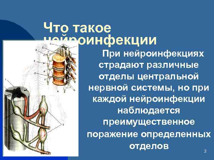 Что такое нейроинфекции 31. 01. 2018 При нейроинфекциях страдают различные отделы центральной нервной системы,