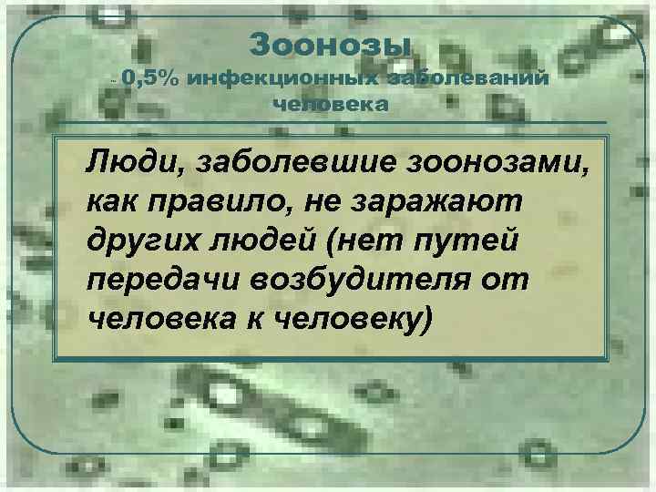 ˜ 0, 5% Зоонозы инфекционных заболеваний человека l Люди, заболевшие зоонозами, как правило, не