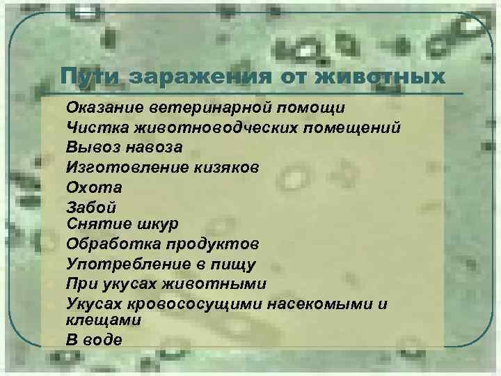 Пути заражения от животных l l l Оказание ветеринарной помощи Чистка животноводческих помещений Вывоз