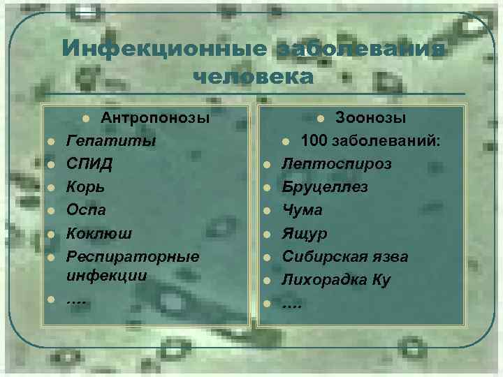 Инфекционные заболевания человека Антропонозы Гепатиты СПИД Корь Оспа Коклюш Респираторные инфекции …. l l